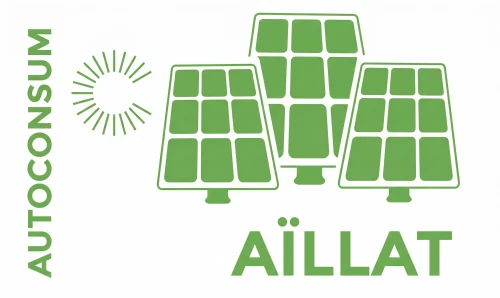 Electricitat allà on la necessitis